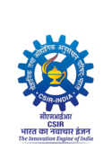 iip Logo